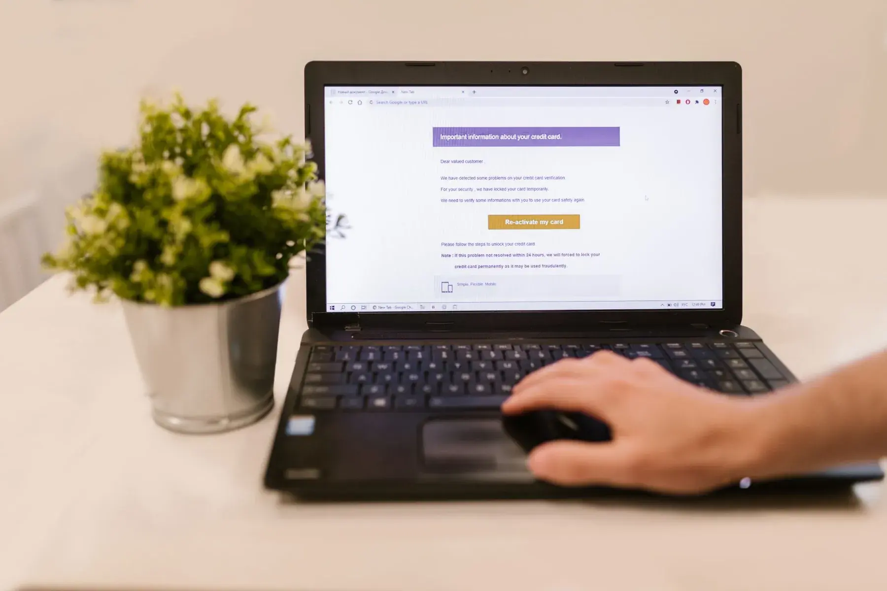 An email open on a laptop, next to a plant.